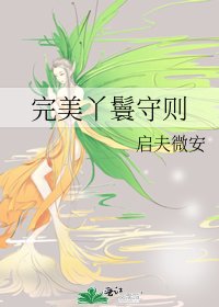 完美丫鬟守則